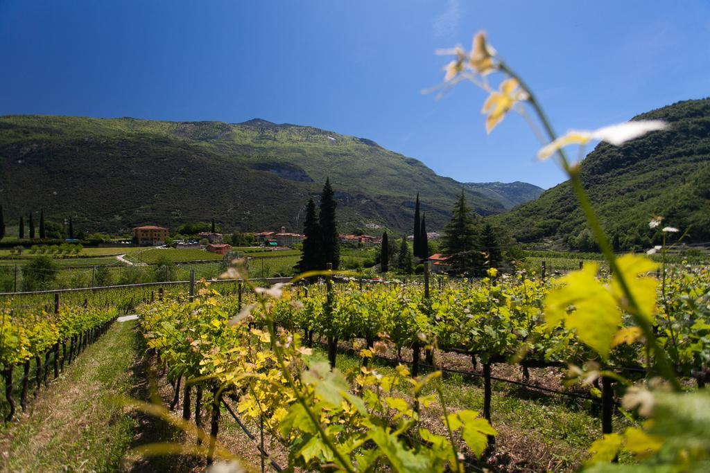Agriturismo Maso Lizzone Dro Exteriér fotografie